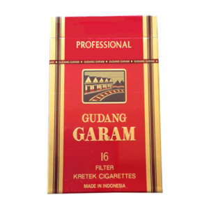 Gudang Garam Professional 16